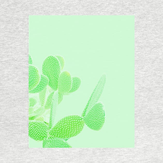 Opuntia Mint by Plantpedia